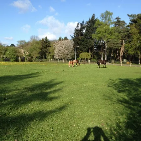 De Heidehoeve * Wezep