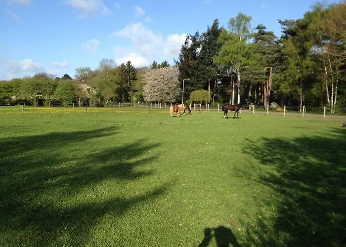 De Heidehoeve * Wezep